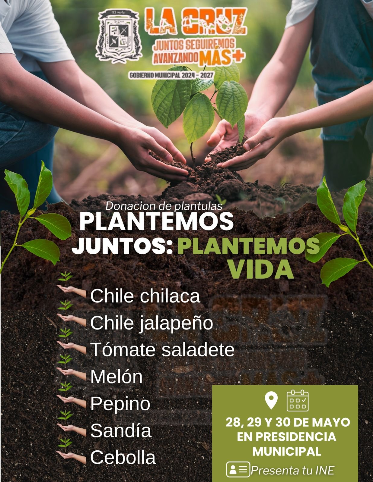 Entrega de Plántulas en La Cruz: Apoyo a Productores Locales para Impulsar el Desarrollo Agrícola