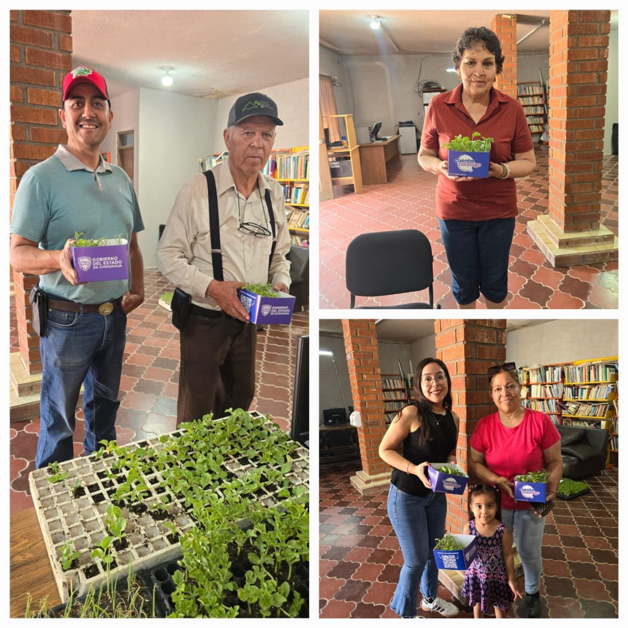 Inicia en La Cruz la entrega de plántulas; aun puedes acudir por las tuyas