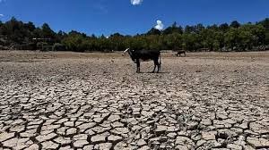 Sequía agrava múltiples crisis en Chihuahua; la salud, la más afectada