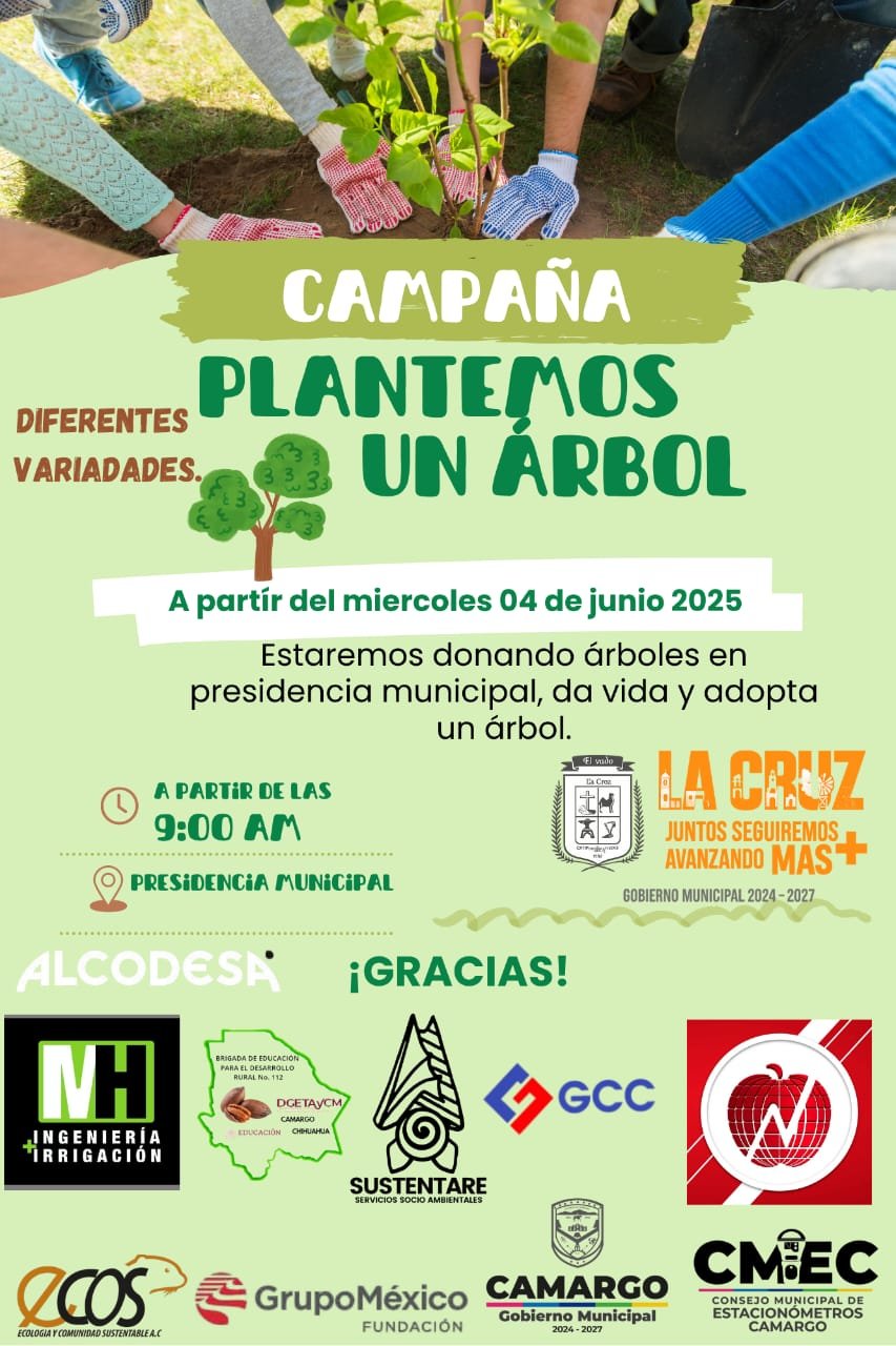 Mañana inicia en La Cruz la campaña “Plantemos un Árbol”, gracias a donación de Fundación Grupo México.