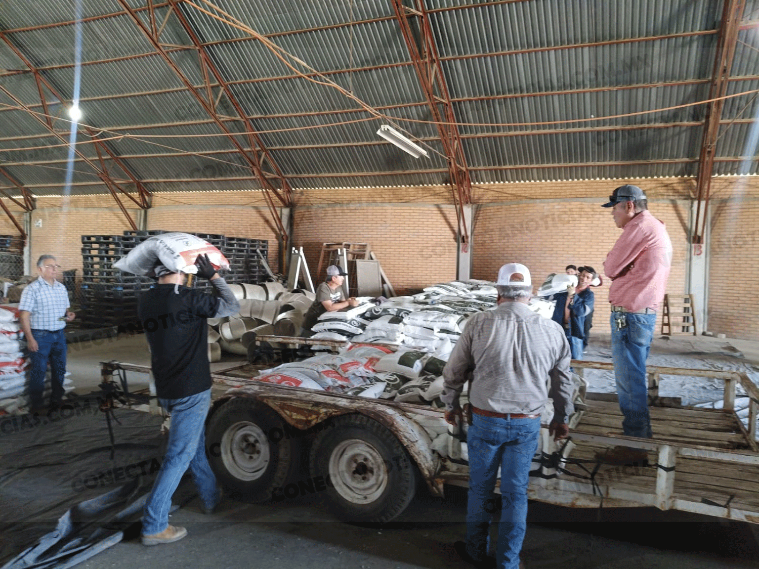 El programa Bienestar entrega fertilizante gratuito a productores del municipio de Camargo