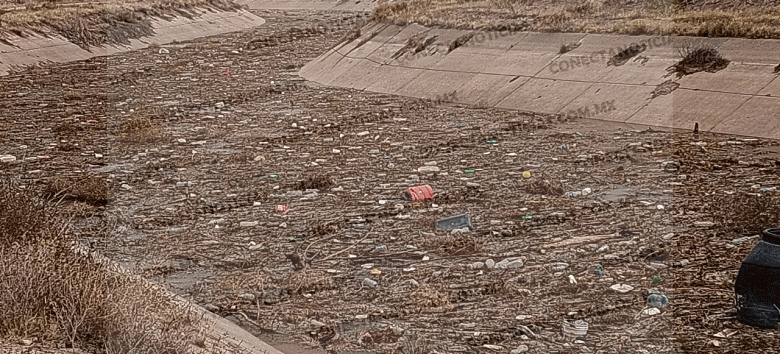 llenado del Canal Principal Conchos; arranca ciclo agrícola en el Distrito de Riego 005