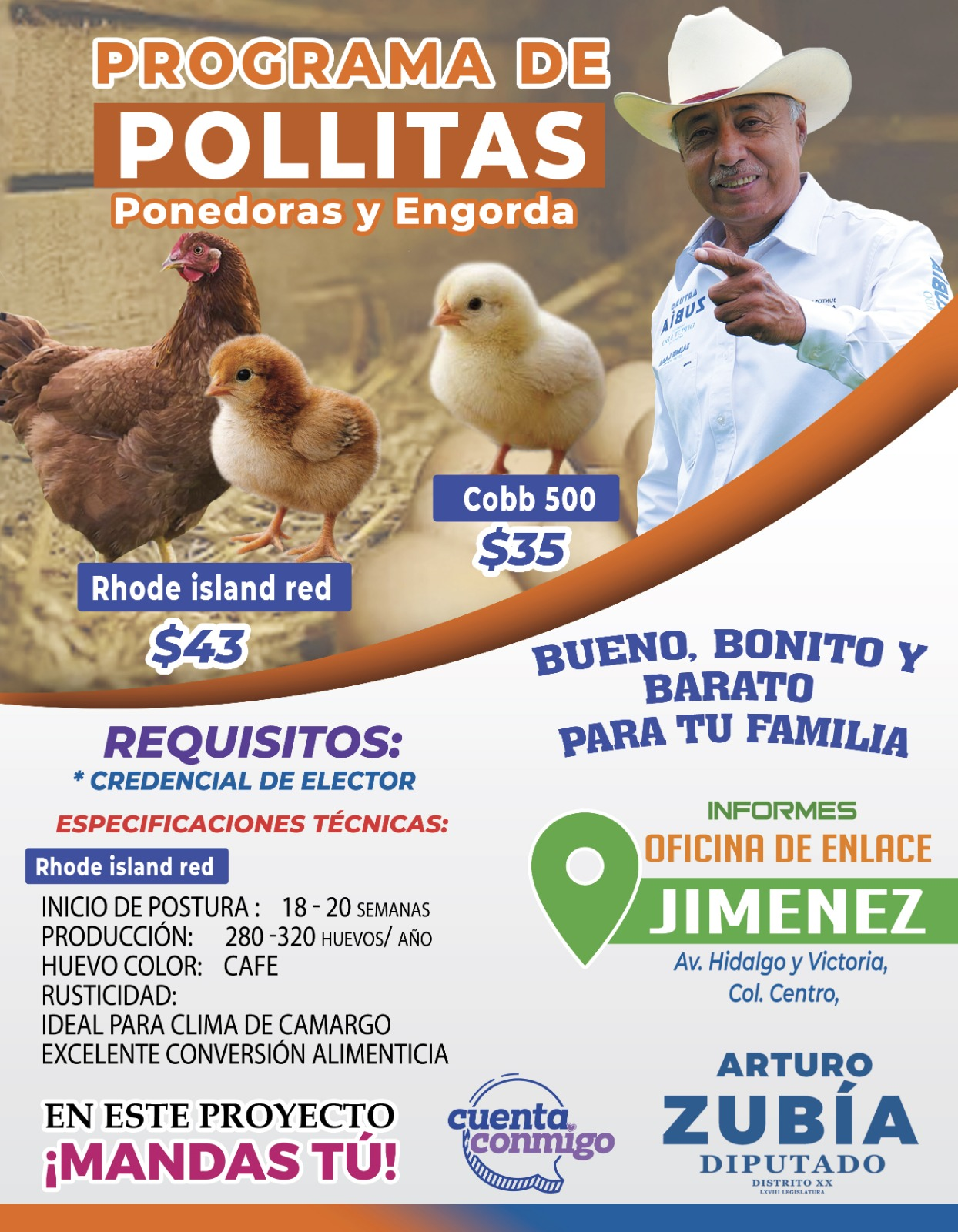 ✨ Programa de Pollitas Ponedoras y de Engorda✨
