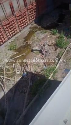 Señalan abandono y falta de mantenimiento en el río Conchos y canal de riego 005 tras apertura de la presa La Boquilla