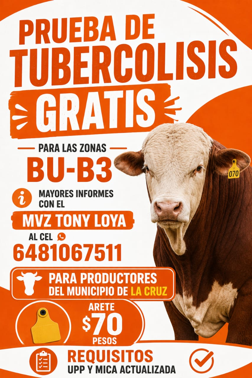 Impulsan la sanidad ganadera con prueba gratuita de tuberculosis para productores de La Cruz