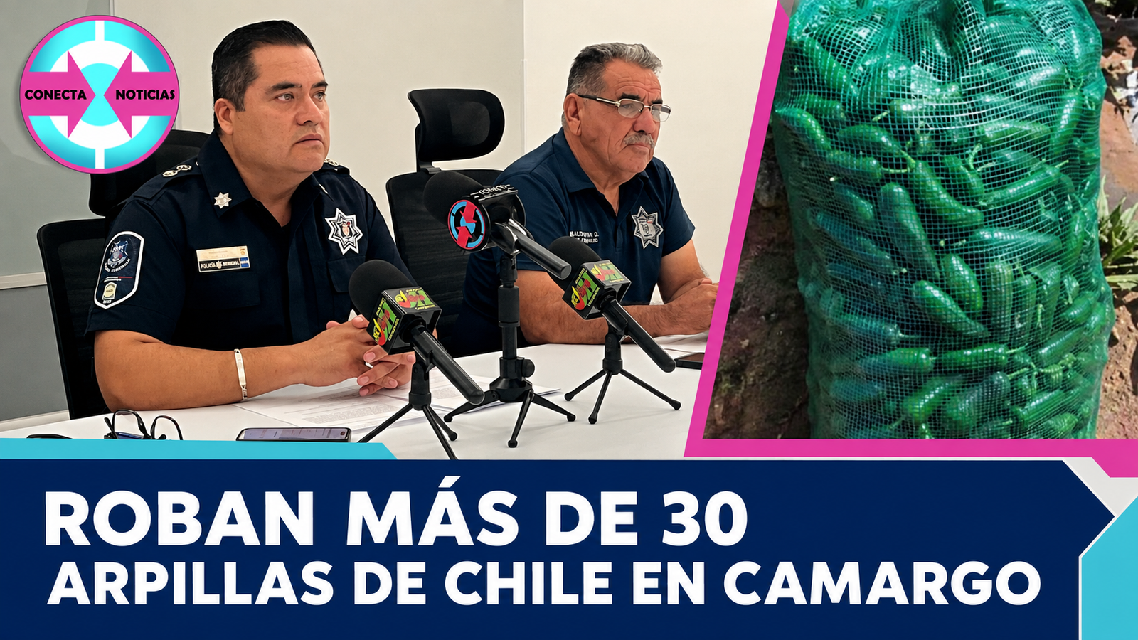 Roban alrededor de 30 arpillas de Chiles durante el fin de semana