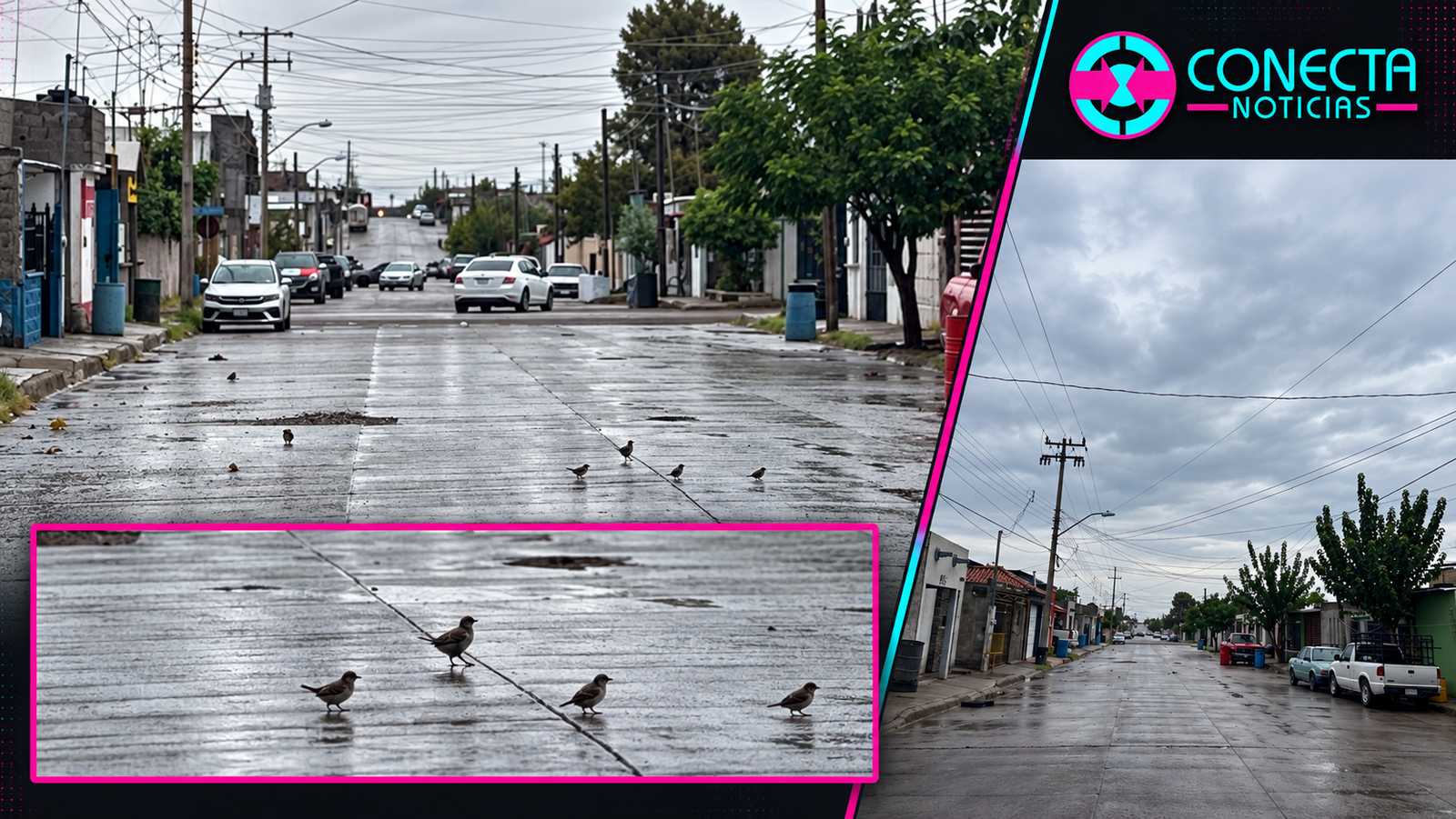 Lluvia en Camargo deja 19 milímetros acumulados y ningún reporte de emergencia: Protección Civil